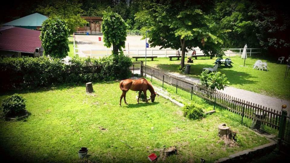 Agriturismo La Fornace Centro Ippico โกโม ภายนอก รูปภาพ