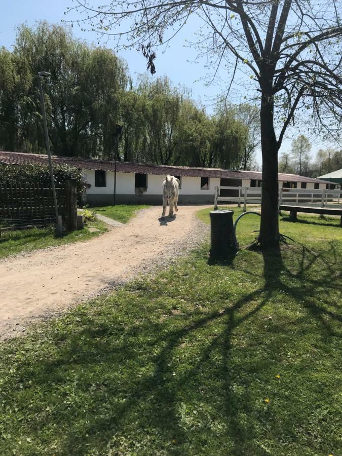 Agriturismo La Fornace Centro Ippico โกโม ภายนอก รูปภาพ